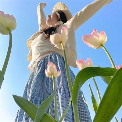 梦里乾坤